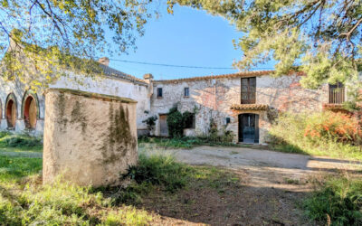 Charming 398 m² farmhouse, built in 1890 25 minutes from Sitges